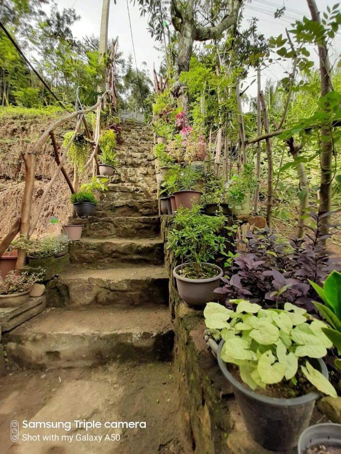 Biwon Homestay Ella Kültér fotó